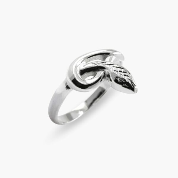 stříbrný prsten had