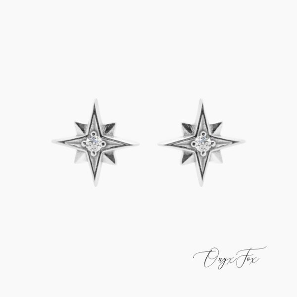 stříbrné náušnice se zirkony hvězdy Polárka mini stella Onyx Fox