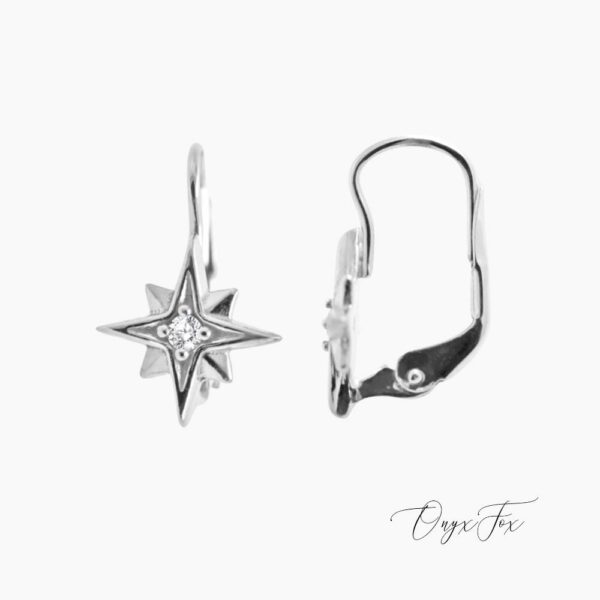 stříbrné náušnice se zirkony hvězdy Polárka mini stella Onyx Fox