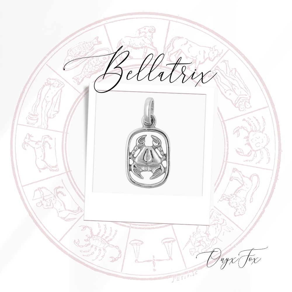 Bellatrix stříbrný přívěsek znamení zvěrokruhu šperky onyx fox